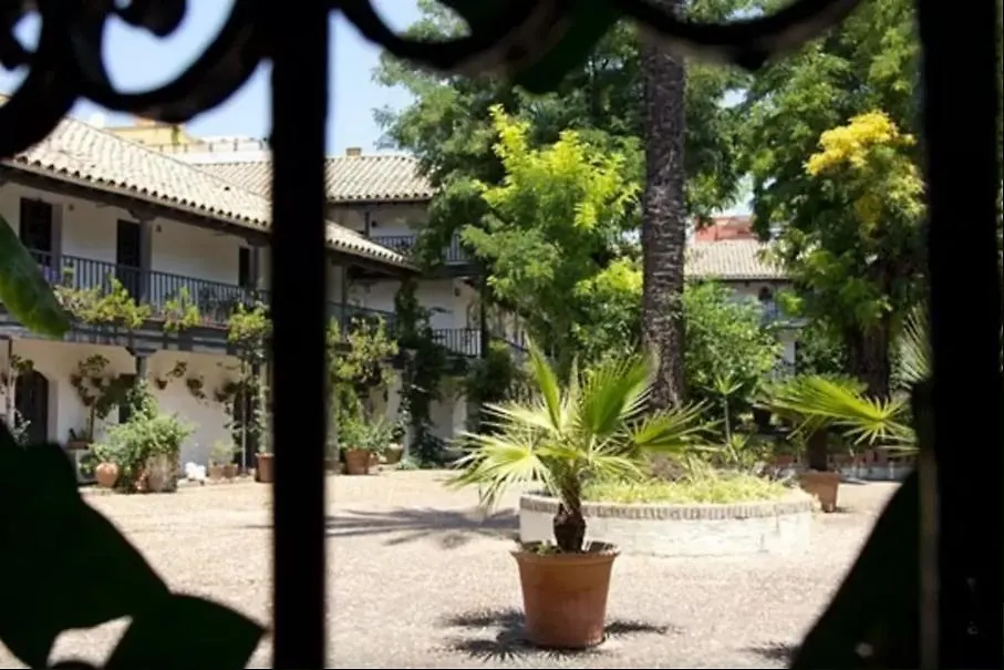 Apartment Corral Del Duque De Olivares Hotel Seville Spain
